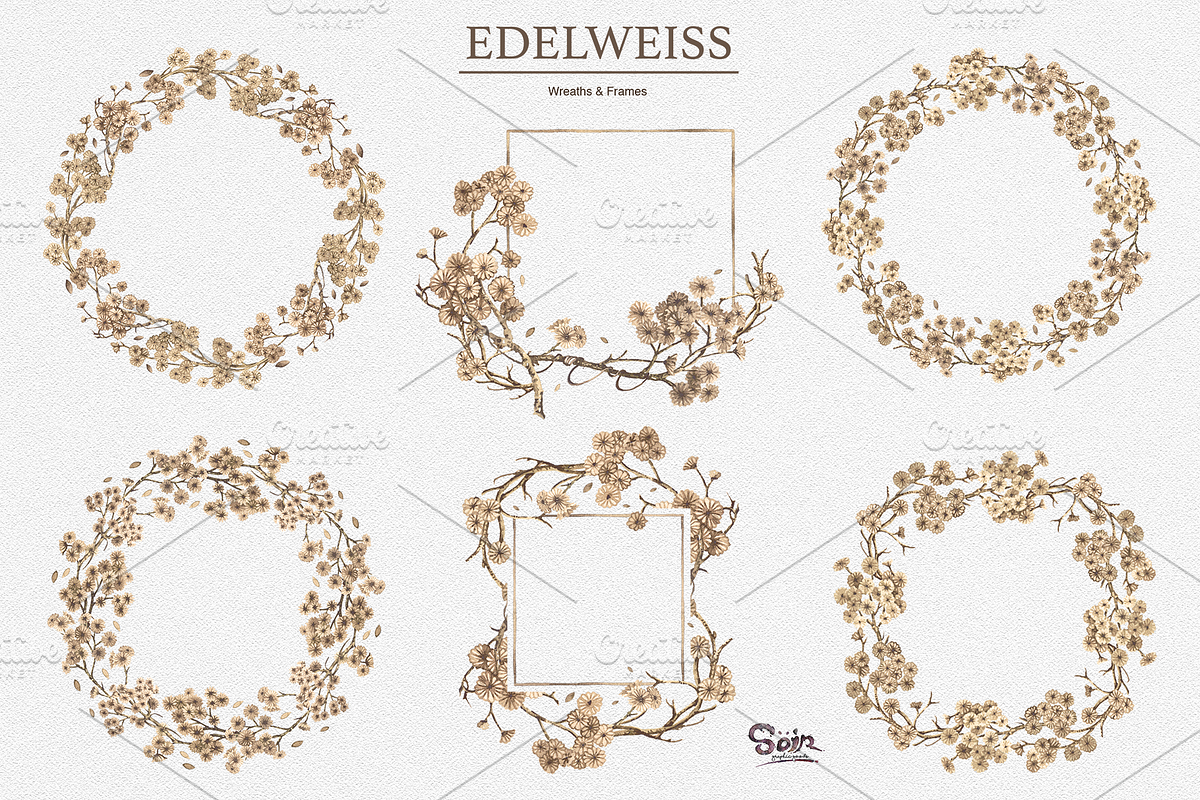 Edelweiss Watercolor Collections, an Illustration by Soir Creative (Photo 3 of 5)