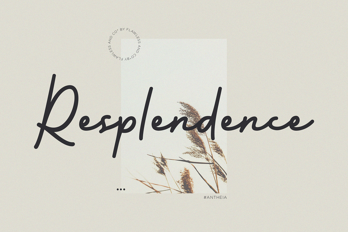 Antheia - Elegant Signature Font, a Script Font by Flawless And Co (Photo 3 of 10)