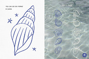 Sea Shells Whimsical Collection, an Object Graphic by Alena Koval (Thumbnail 5 of 19)