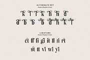 Destiny Gorgeous Font, a Serif Font by HansCo Studio (Thumbnail 11 of 12)