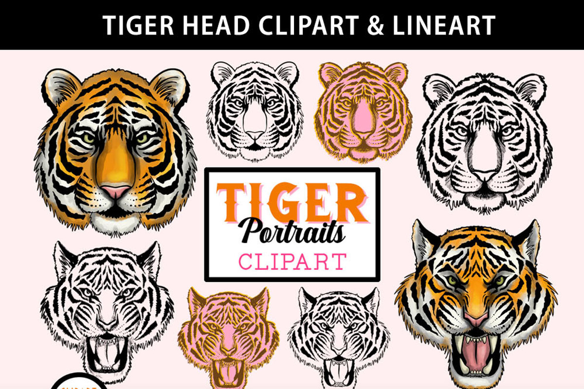 Tiger Clipart & Lineart PNGs, an Animal Illustration by SLS Lines (Photo 7 of 7)