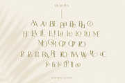 Portobello Display Ligature Font, a Serif Font by Laras Wonderland (Thumbnail 13 of 15)