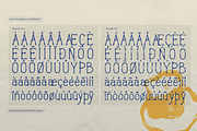 Morinor Lenteron | Hand Drawn Font, a Handwritten Font by gracetype_studio (Thumbnail 12 of 12)