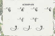 Calligraph | Script Font, a Handwritten Font by Scratchones (Thumbnail 7 of 8)