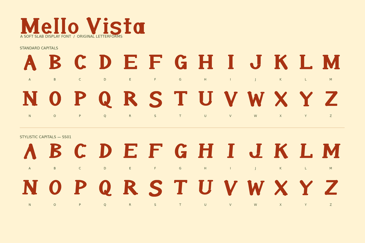 Mello Vista - Bold Retro Rounded, a Slab Serif Font by Colorsfav (Photo 8 of 8)