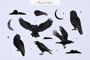 Enchanted Wonders 2 in 1 Graphic Set, a Decorative Illustration by rouxsupplyco (Thumbnail 5 of 19)