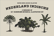 East Indies Botanical Illustrations, a Decorative Illustration by Rusted Works (Thumbnail 1 of 10)