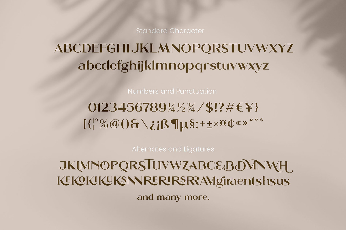 Moldern - Classy Serif, a Serif Font by Arterfak Project (Photo 11 of 13)