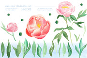 Watercolor peonies, an Object Graphic by Anastasia Timosch (Thumbnail 2 of 9)
