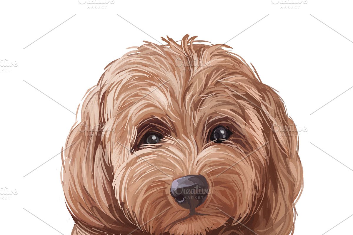 Dogs Cross Breeds 56 Animals Bundle, an Animal Illustration by Dneprstock (Photo 36 of 55)
