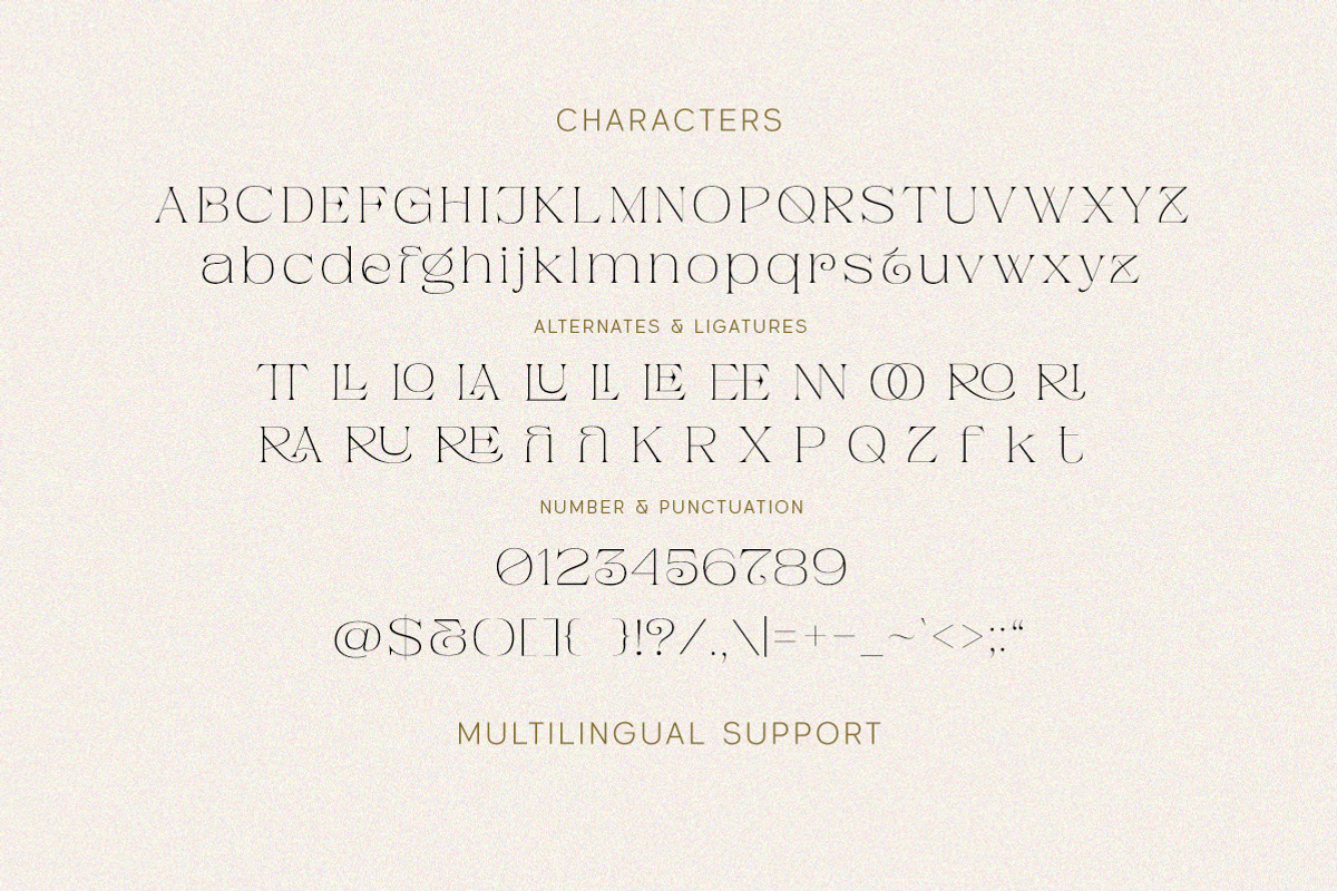 Pandora Emotion - Stylish Serif Fon, a Serif Font by Letterhend Studio (Photo 9 of 10)