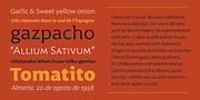 Harri Text, a Sans Serif Font by Blancoletters (Thumbnail 1 of 14)