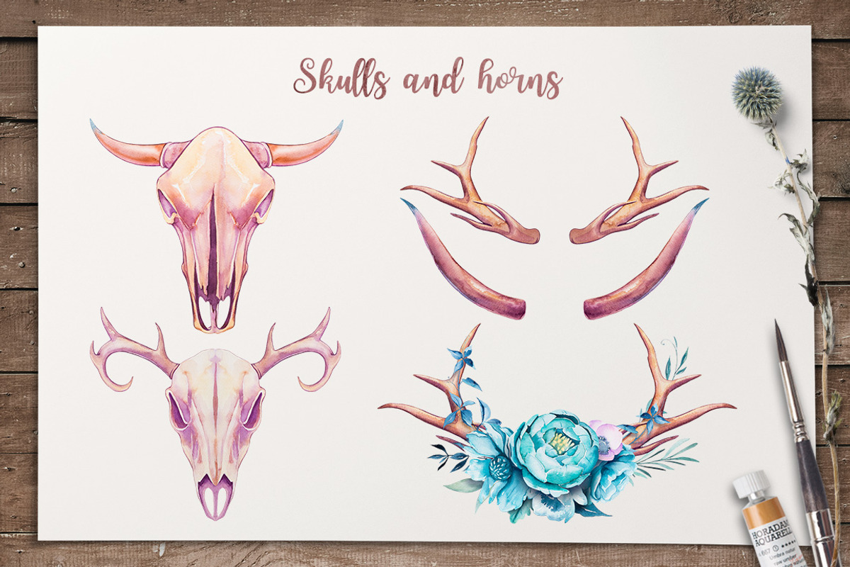 Beachy Boho watercolor, an Animal Illustration by AlexGreenArt (Photo 10 of 17)