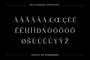 Aeriast Serif Font