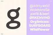 Ciruela | Chunky Round Display Sans, a Sans Serif Font by Antipixel Type Studio (Thumbnail 6 of 19)