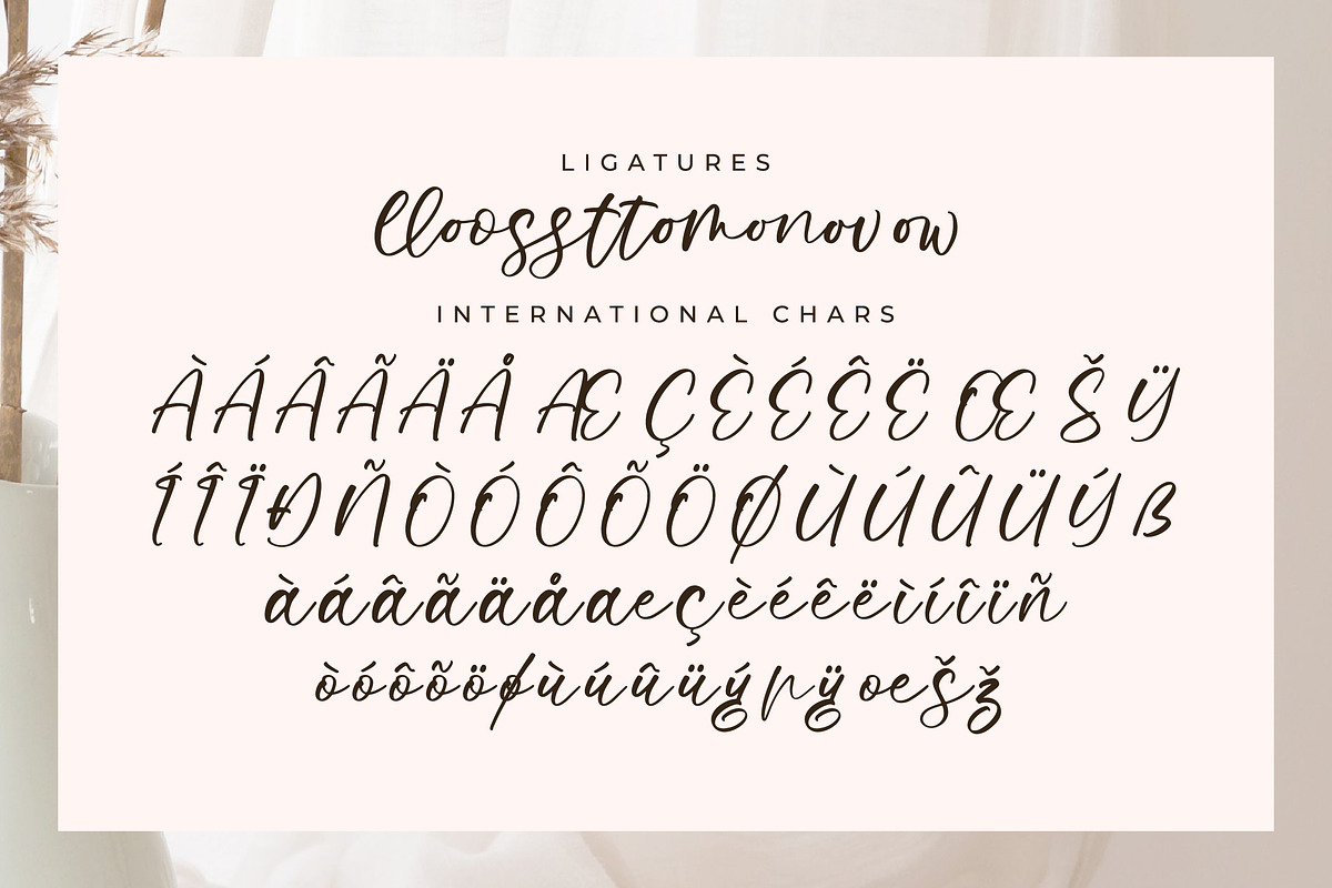 Moltaris Rabbit, a Script Font by Integritype Studio (Photo 14 of 15)