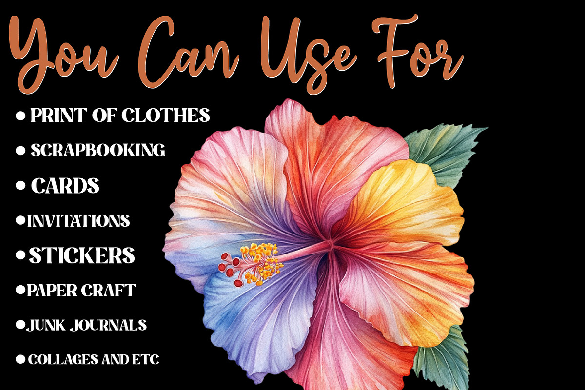 Hibiscus Flower Watercolor Cliparts, an Illustration by Designworld (Photo 6 of 8)