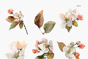 Watercolor Apple Blossom Bouquet, a Decorative Illustration by ThaismotaCreativeCo (Thumbnail 4 of 11)