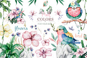 Tropical Wildlife Watercolor set, an Illustration by Ann Art Houze (Thumbnail 4 of 13)