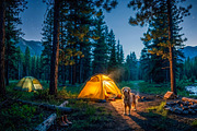 Camping Dog Forest Adventures, an Animal Illustration by StockVerse Creative (Thumbnail 3 of 4)