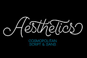Cosmopolitan Script & Sans + Extras, a Script Font by Fenotype (Thumbnail 3 of 12)