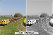 Ilford Films LUTs, a Plug-in Add-On by Raztrend (Thumbnail 25 of 30)