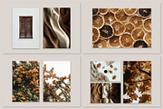 Autumn Bundles Collection, a Photo by Floral Deco (Thumbnail 11 of 13)