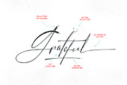 Hector Ink, a Script Font by vuuuds (Thumbnail 5 of 8)