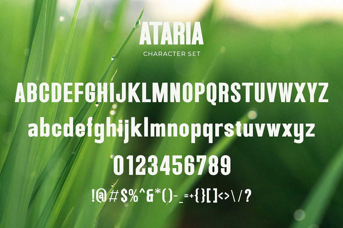 Ataria - Modern Condensed Sans, a Sans Serif Font by TypeLogue (Photo 4 of 5)
