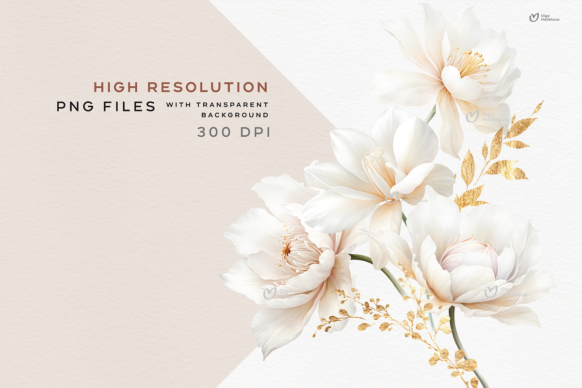 Fantasy flowers, White peonies, an Object Illustration by ollalya (Photo 5 of 9)