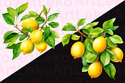 Lemons Watercolor Clipart, a Food Illustration by LekoArt (Thumbnail 8 of 10)