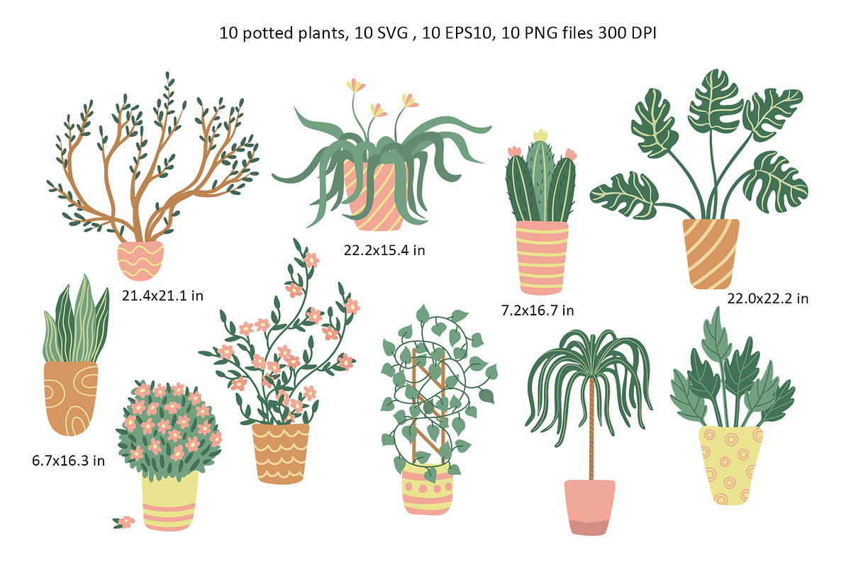 Cats and Plants Clipart and Patterns, an Animal Illustration by Anna Druzhkova (Photo 3 of 23)