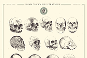 VECTOR SKULL HAND DRAWN BUNDLE 24, an Illustration by pawellpi (Thumbnail 4 of 4)