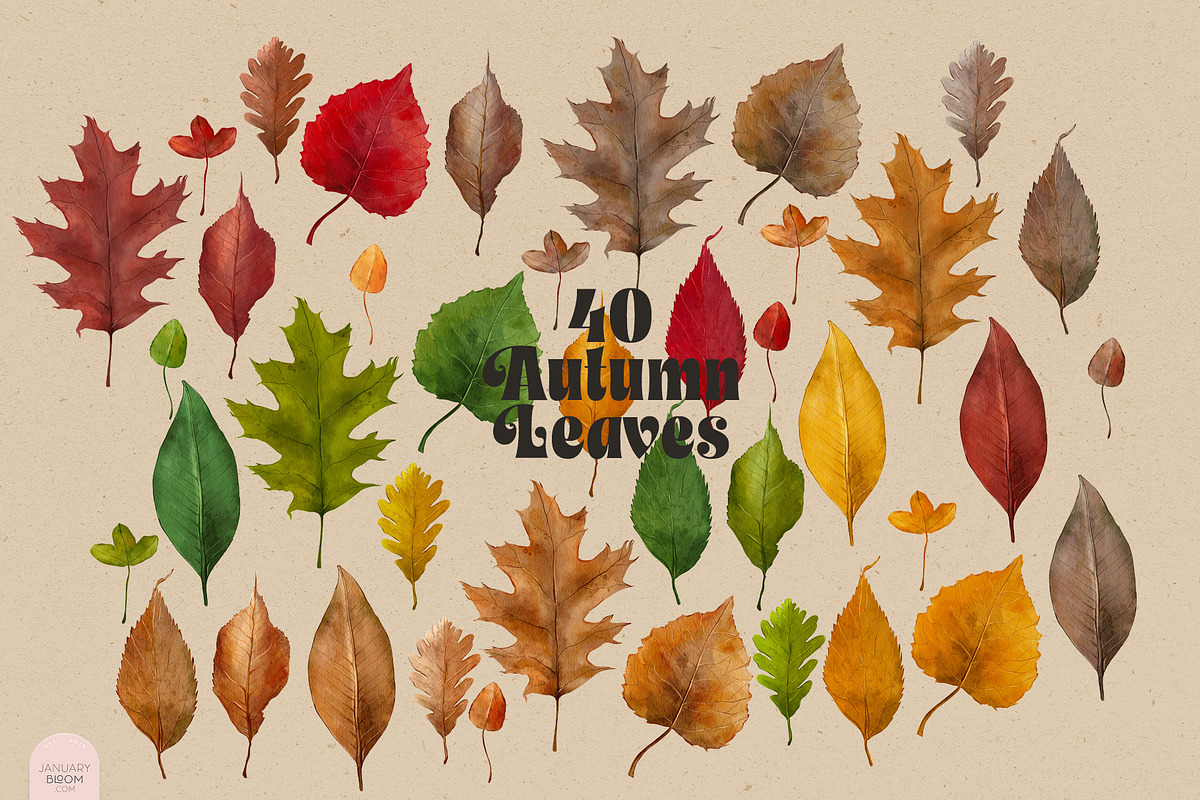 Autumn Leaves - Watercolor Fall, an Illustration by January Bloom (Photo 2 of 3)