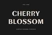 Rustea Display Fonts, a Font by Yukita Creative (Thumbnail 4 of 12)