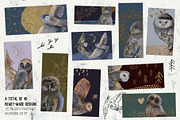 Magic owls: 280 elements for design, an Animal Illustration by Shusha Guna Art (Thumbnail 17 of 23)