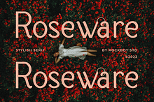 Roseware - Modern Stylish