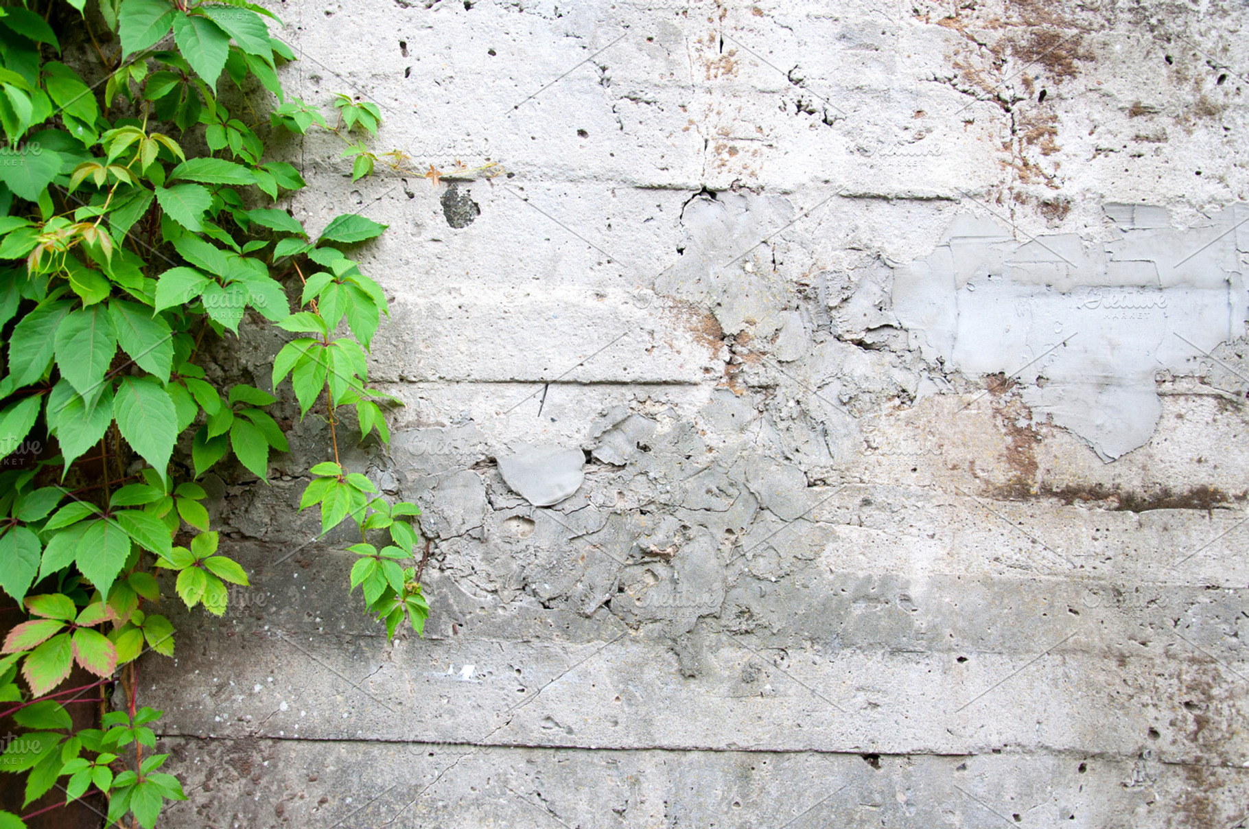 Concrete And Green