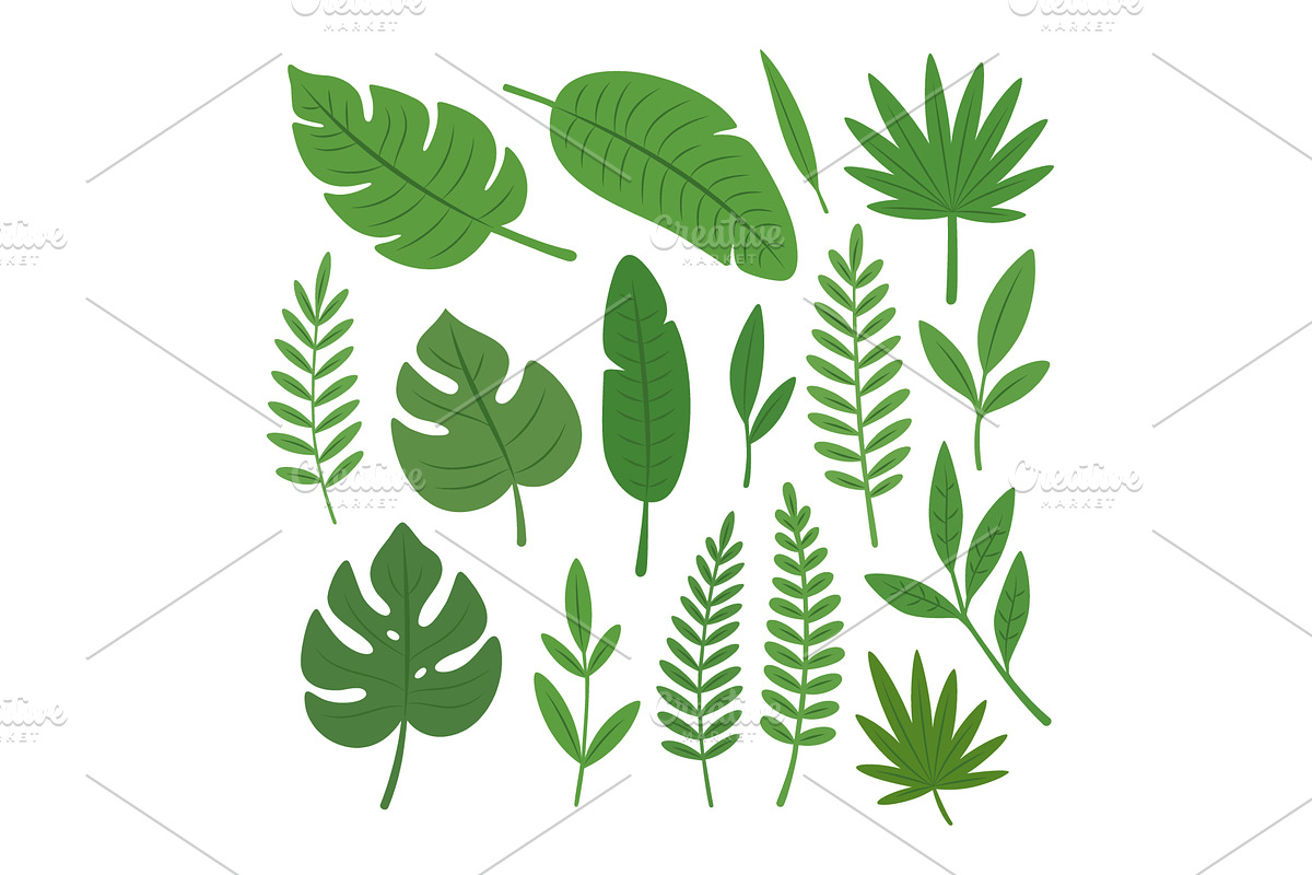 Flat tropical green leaves, an Illustration by GraphiShop