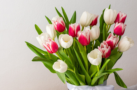 Beautiful spring bouquet, a Photo by Pandateam
