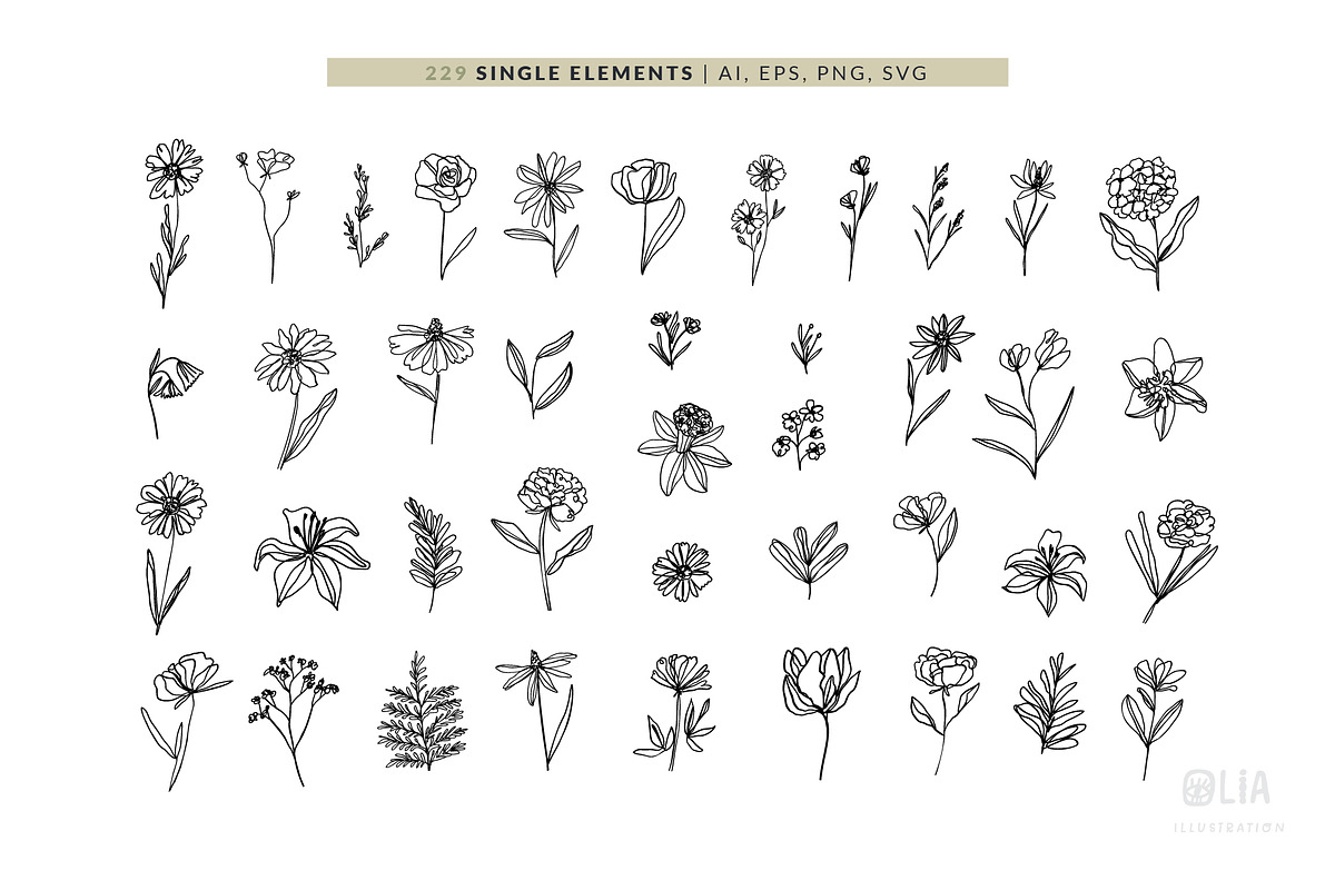 Elegant Botanicals | 100% Hand drawn, a Decorative Illustration by Olia (Photo 2 of 14)