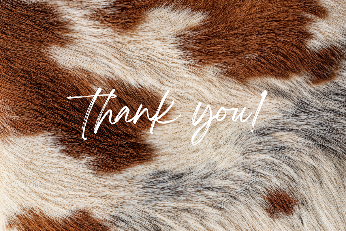 FURther: The Ultimate Fur Collection, a Background Graphic by Anastasiia VNSK (Photo 12 of 12)