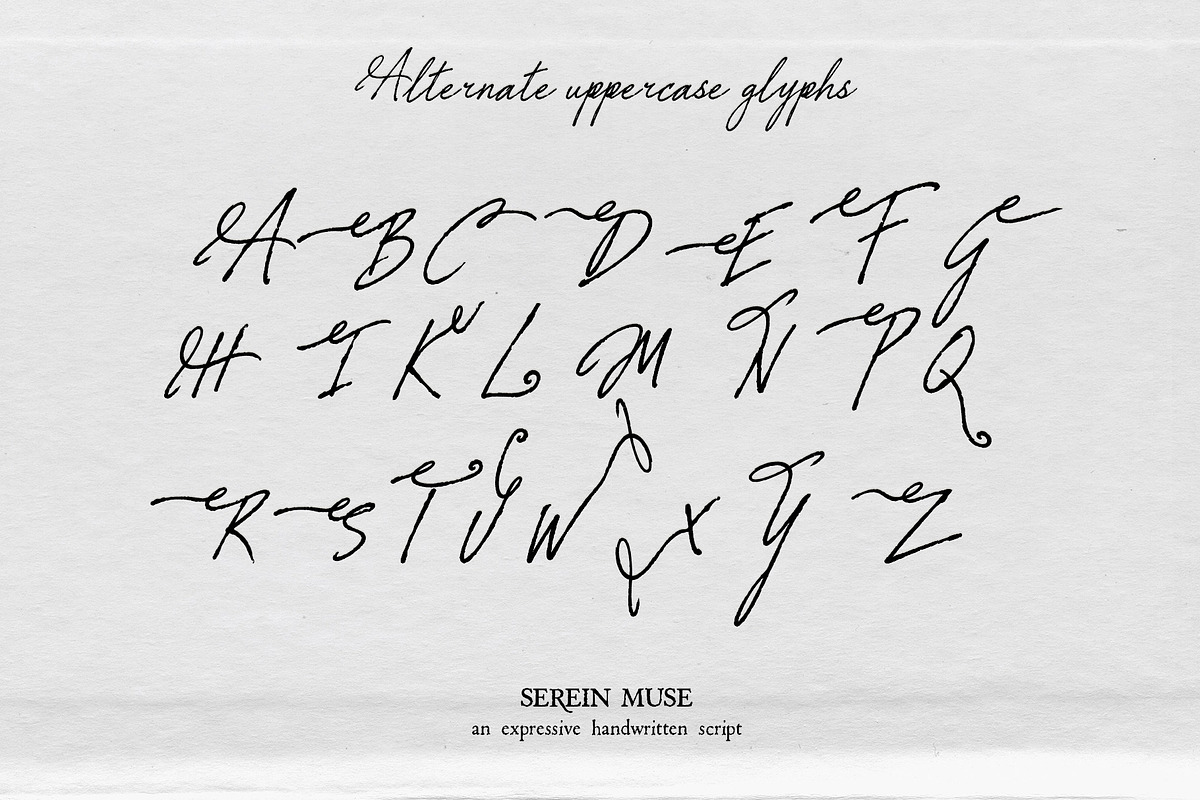 Serein Muse Handwritten Script, a Script Font by Mneme (Photo 7 of 8)