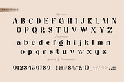 Semilir, a Script Font by ArimaType (Thumbnail 7 of 10)