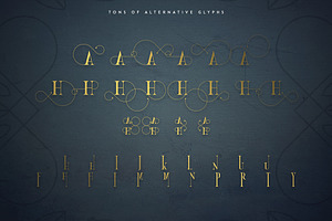 Golden Bird Serif Font Cool Extras