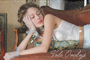 Voile Overlays - Lace Textures, a Texture Graphic by lerinartstudio (Thumbnail 7 of 15)