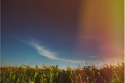 Night Starry Sky Above corn Field, a Nature Photo by Our Amazing World