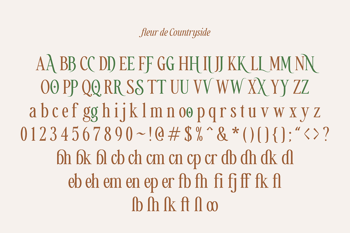Countryside - A Modern Serif Family, a Serif Font by Megi Satyo Widodo (Photo 20 of 22)