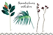 Tropical leaves old pharmacy bottles, an Illustration by marie dricot (Thumbnail 10 of 12)