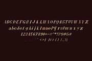 Fontany - Modern Typeface, a Serif Font by Made by Cap (Thumbnail 3 of 5)